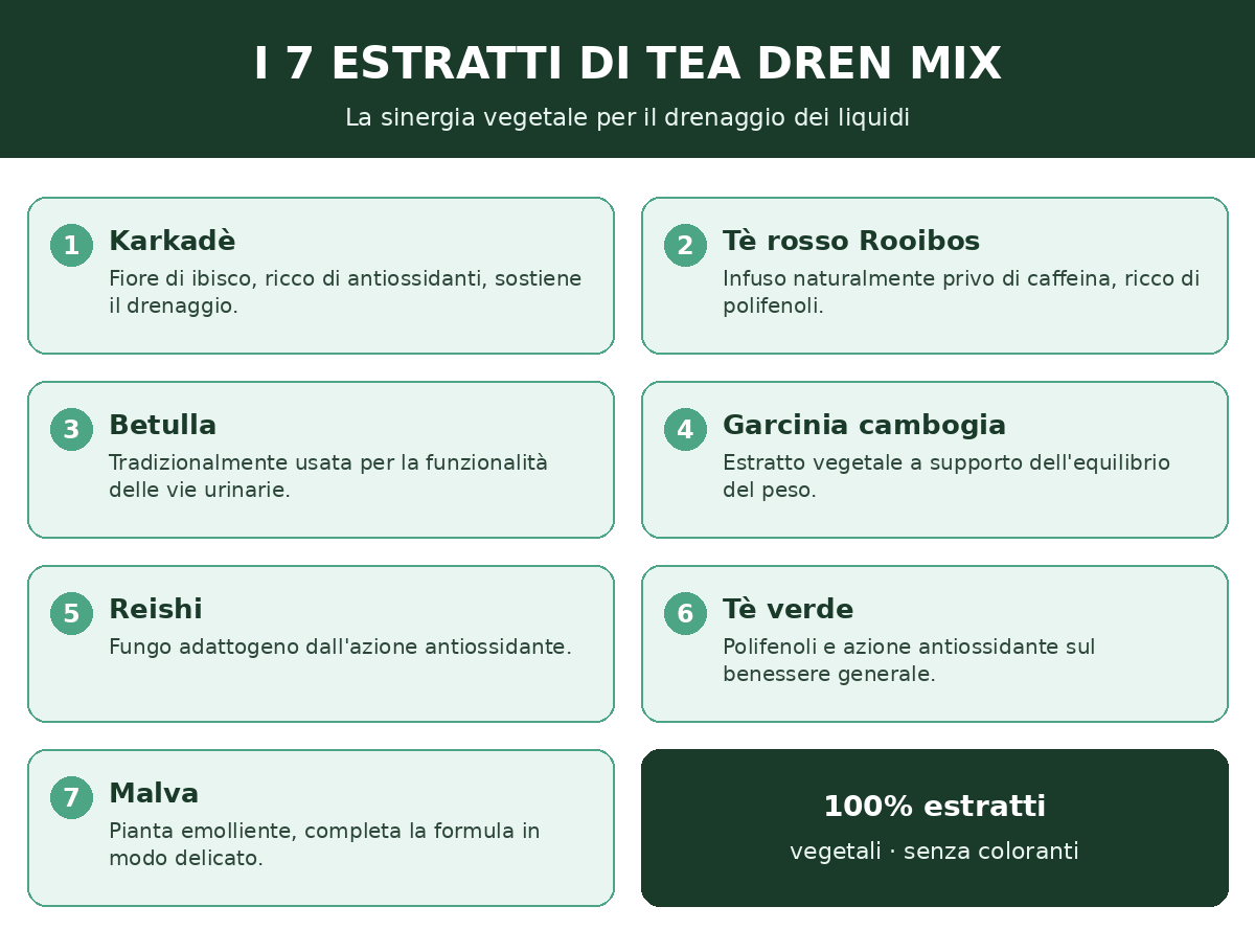 I 7 estratti vegetali di Tea Dren Mix per drenare i liquidi
