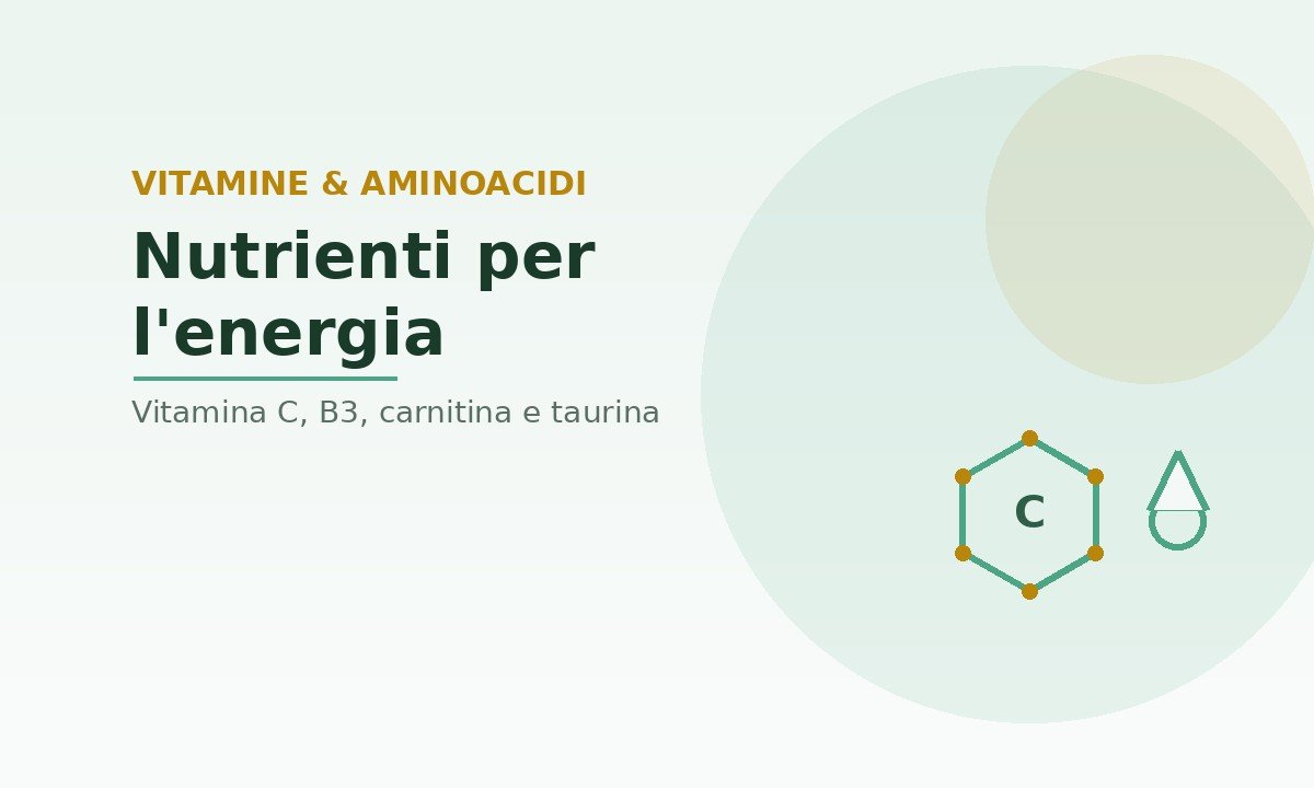 vitamine e carnitina per il metabolismo energetico contro la spossatezza