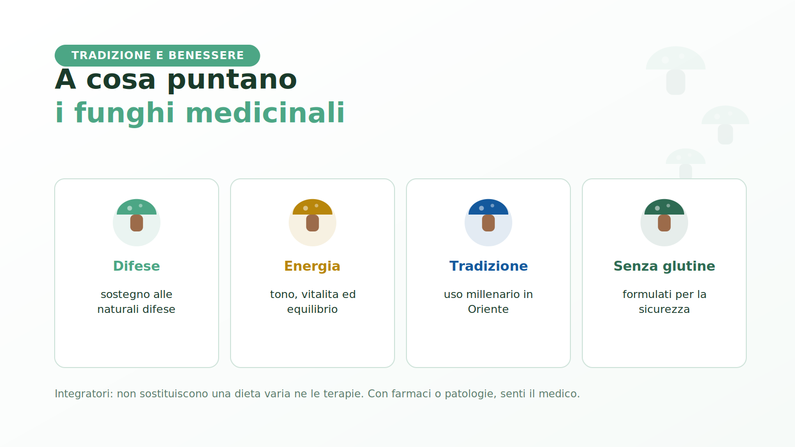 A cosa puntano i funghi medicinali della micoterapia: naturali difese, energia e tradizione