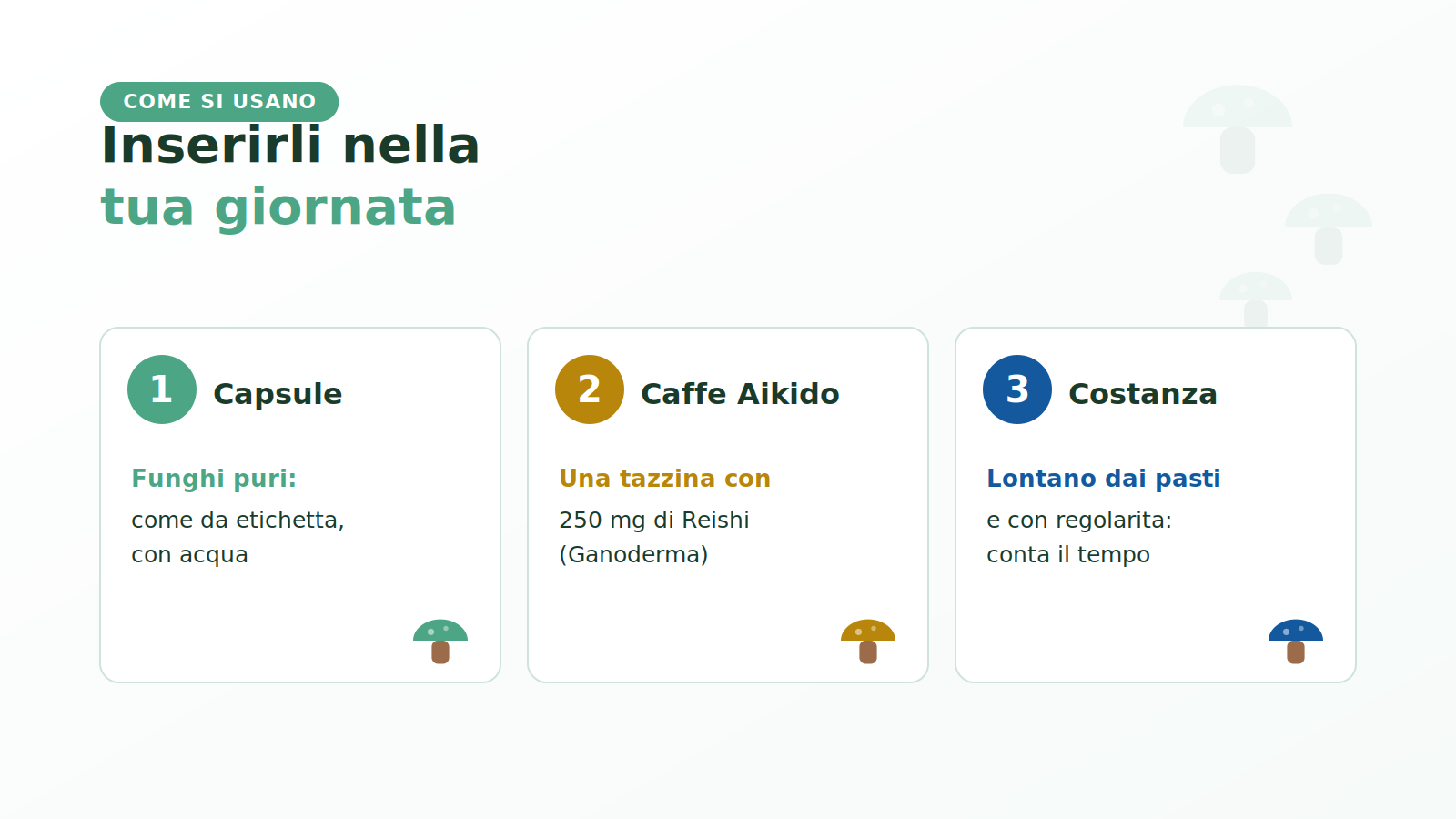 Come assumere i funghi della micoterapia Etna Wellness: capsule, caffè Aikido e costanza