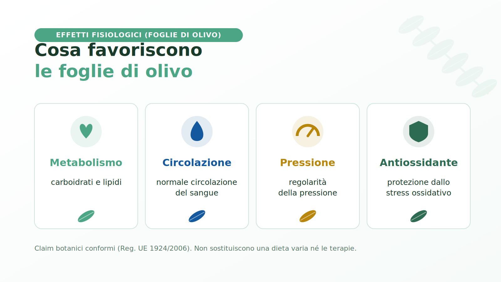Effetti delle foglie di olivo: metabolismo, circolazione, pressione e antiossidante in Olixina Etna Wellness