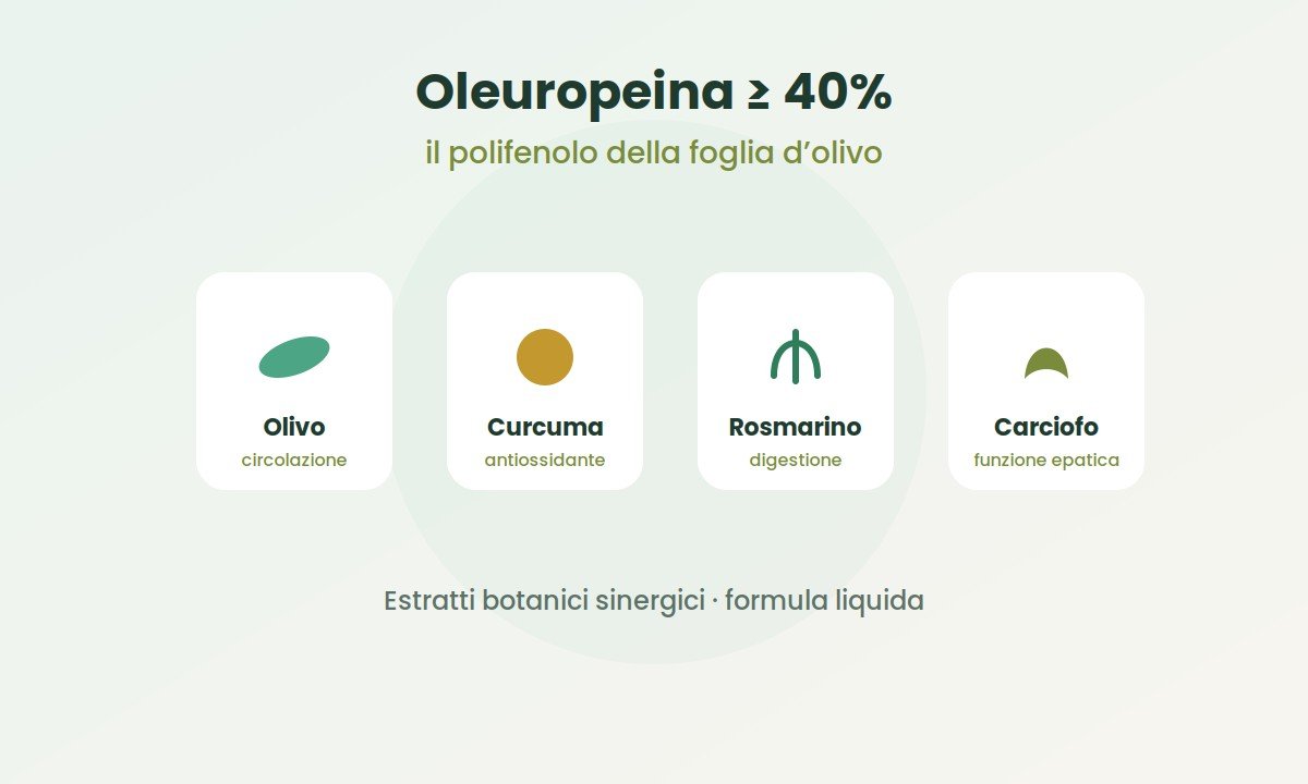 oleuropeina foglie ulivo curcuma rosmarino carciofo estratti pressione alta rimedi naturali