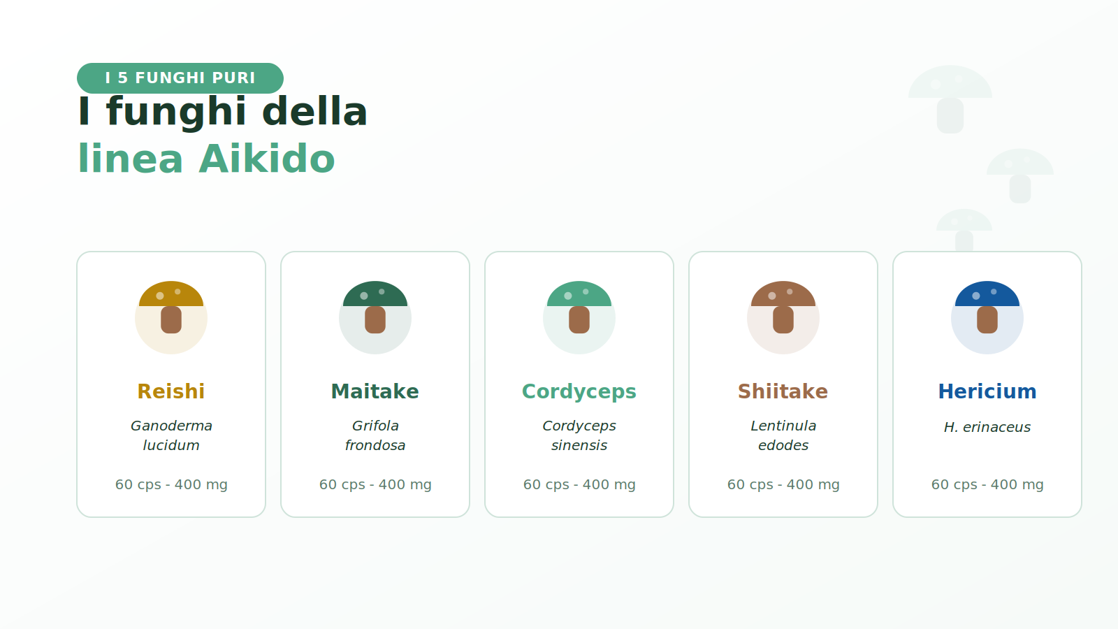 I cinque funghi medicinali della linea Aikido di Micoterapia Etna Wellness