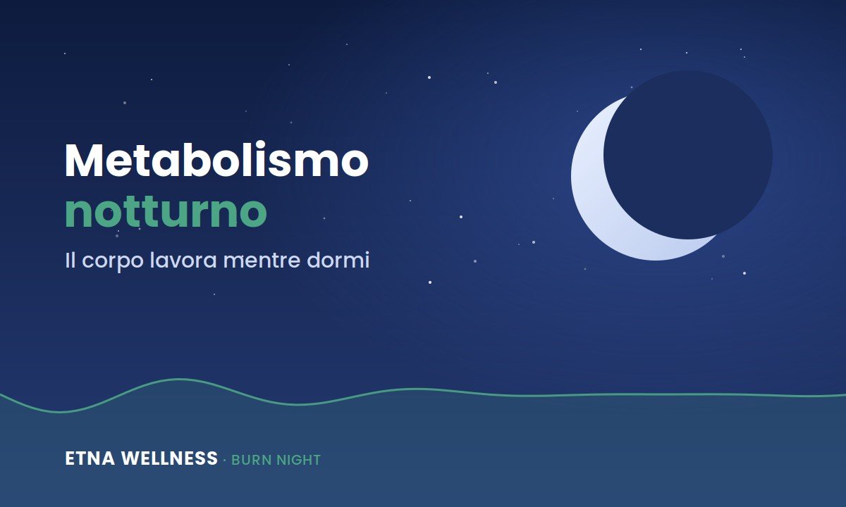Metabolismo notturno e gestione dei lipidi durante il sonno con Burn Night