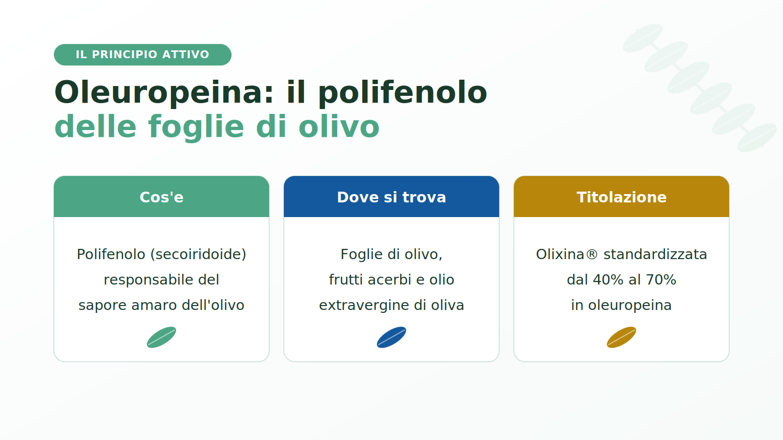 Oleuropeina nelle foglie di olivo: cos'è, dove si trova e titolazione di Olixina Etna Wellness