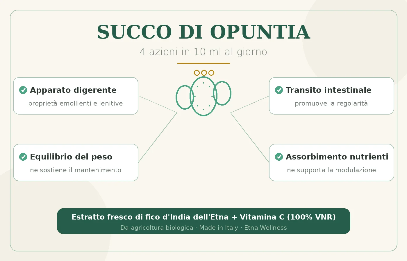 Infografica dei benefici del succo di Opuntia: apparato digerente, transito, equilibrio del peso, assorbimento dei nutrienti