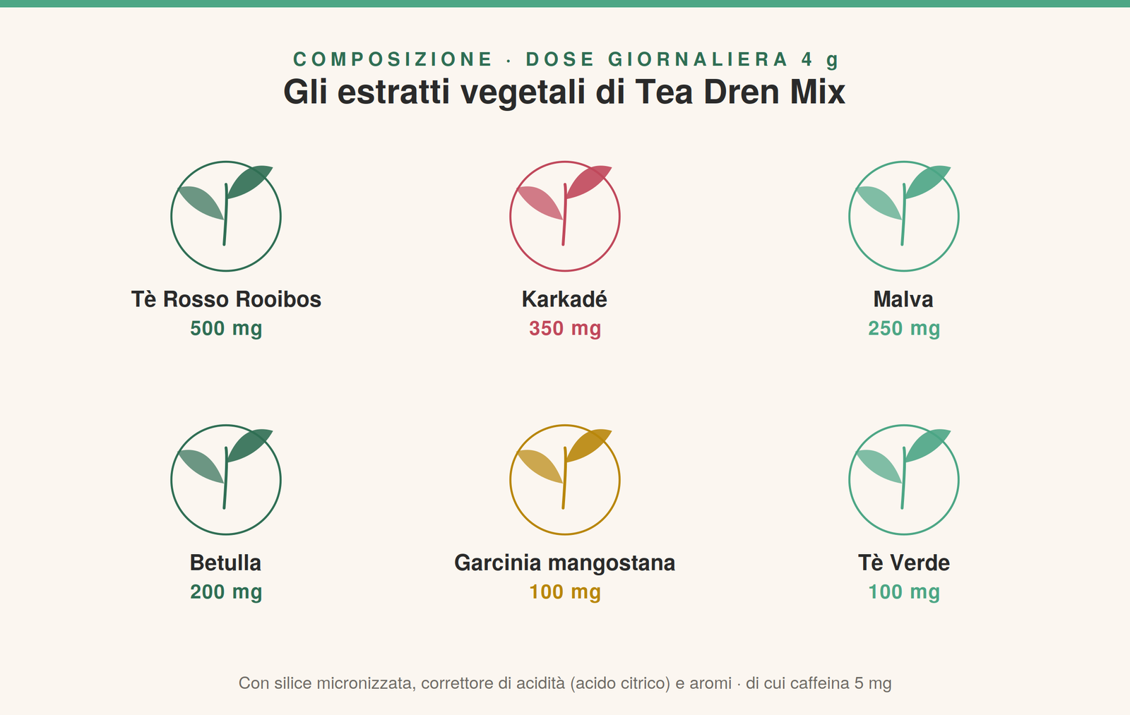 Estratti vegetali di Tea Dren Mix per depurare l'organismo: rooibos, karkadè, malva, betulla, garcinia, tè verde