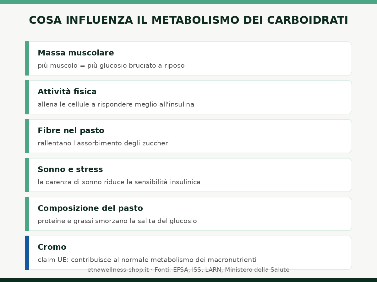 cosa influenza il metabolismo dei carboidrati massa muscolare movimento fibre sonno cromo