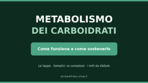 metabolismo dei carboidrati come funziona e come sostenerlo guida