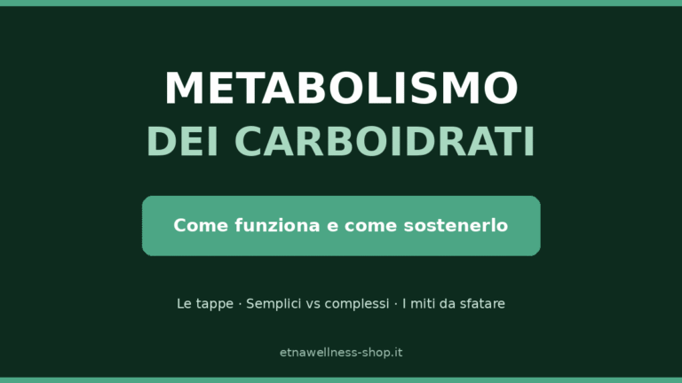 metabolismo dei carboidrati come funziona e come sostenerlo guida