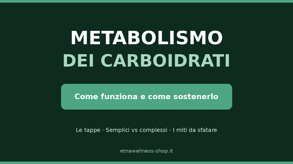 metabolismo dei carboidrati come funziona e come sostenerlo guida