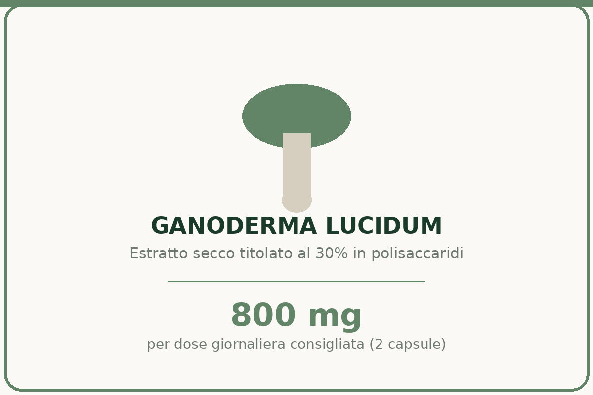 Reishi puro etna wellness: card ingrediente Ganoderma lucidum estratto secco 30% polisaccaridi