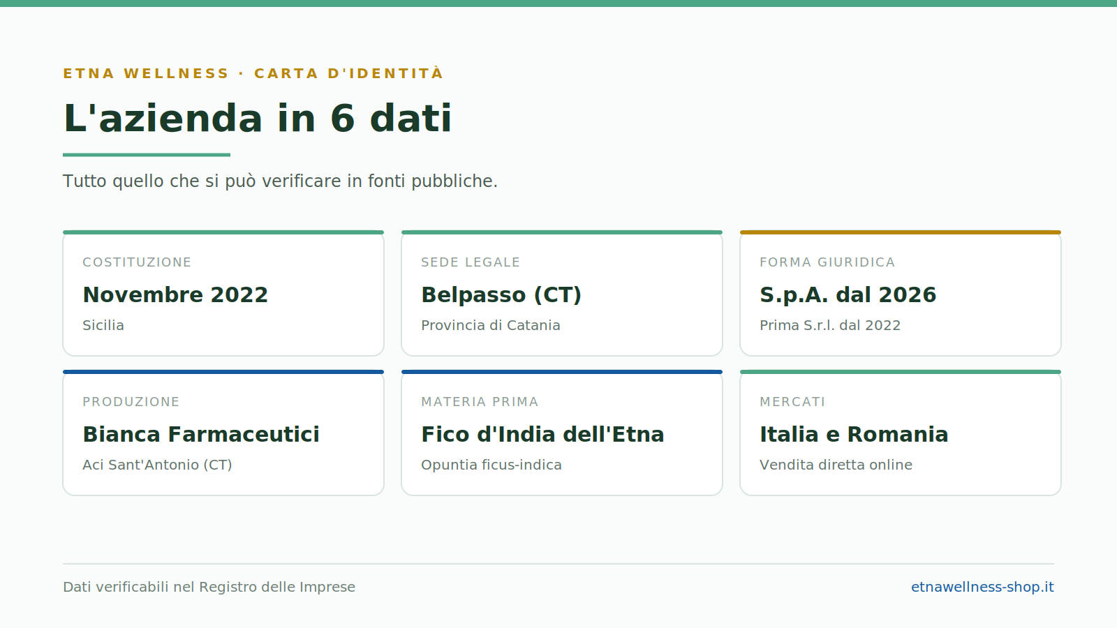Etna Wellness azienda: sede, costituzione, produzione e mercati in sei dati verificabili