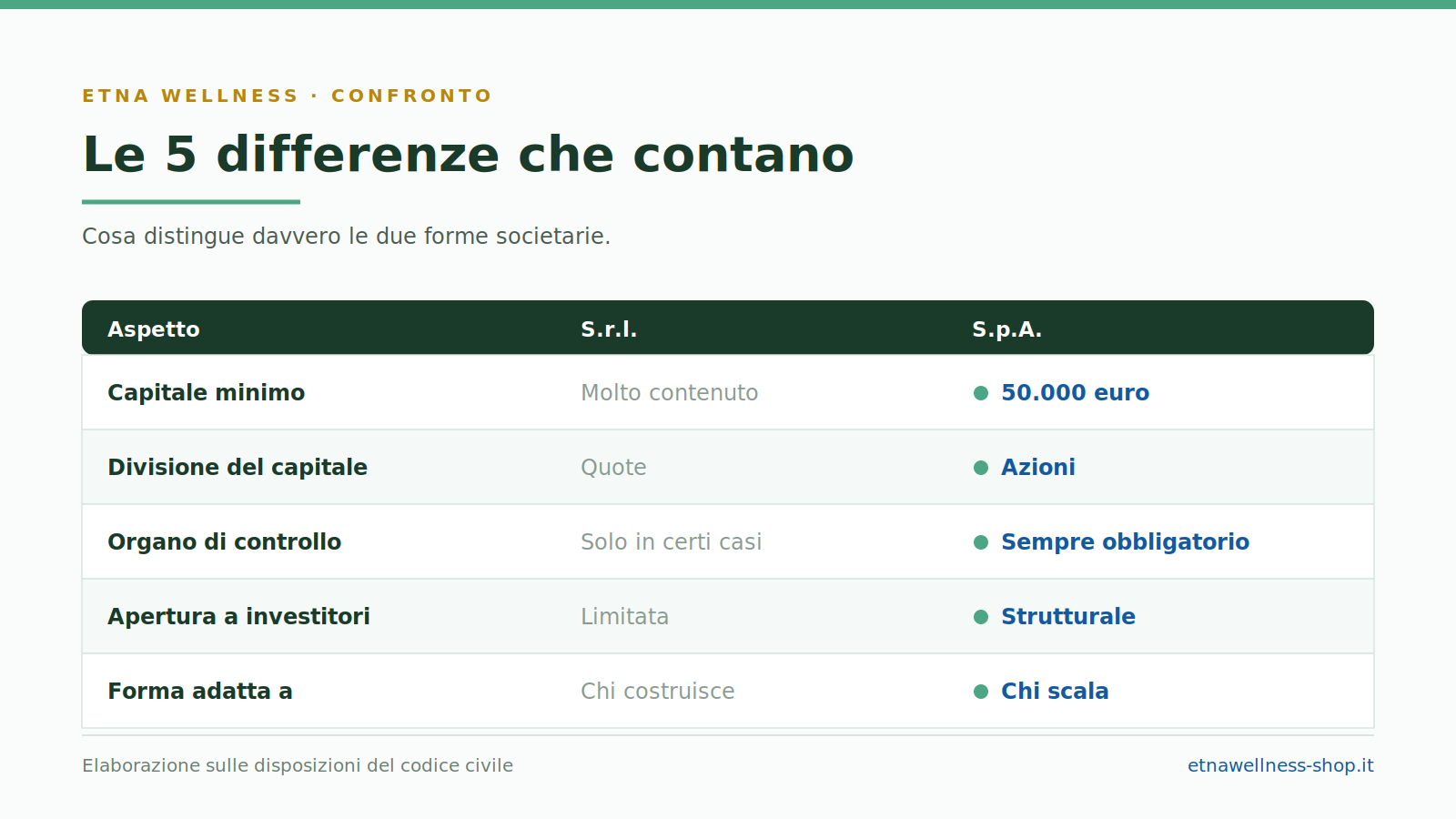 Differenze tra Etna Wellness SRL e Etna Wellness SPA: capitale, controlli e governance