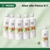 Aloe Pesca 5+1 Etna Wellness